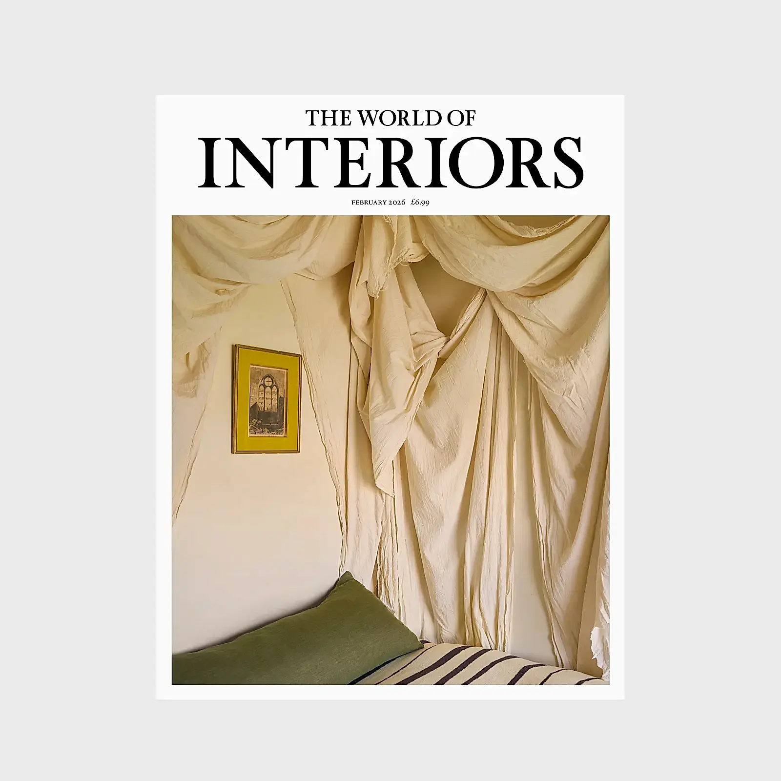 Image may contain Cushion Home Decor Indoors Interior Design and Pillow