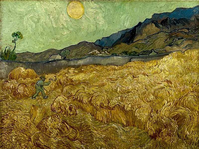 Sunny side up: Van Gogh’s fixation with yellow