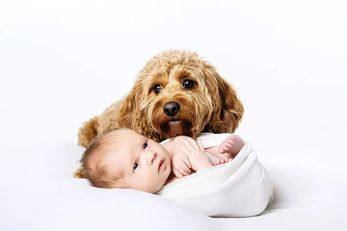 Award winning newborn photography